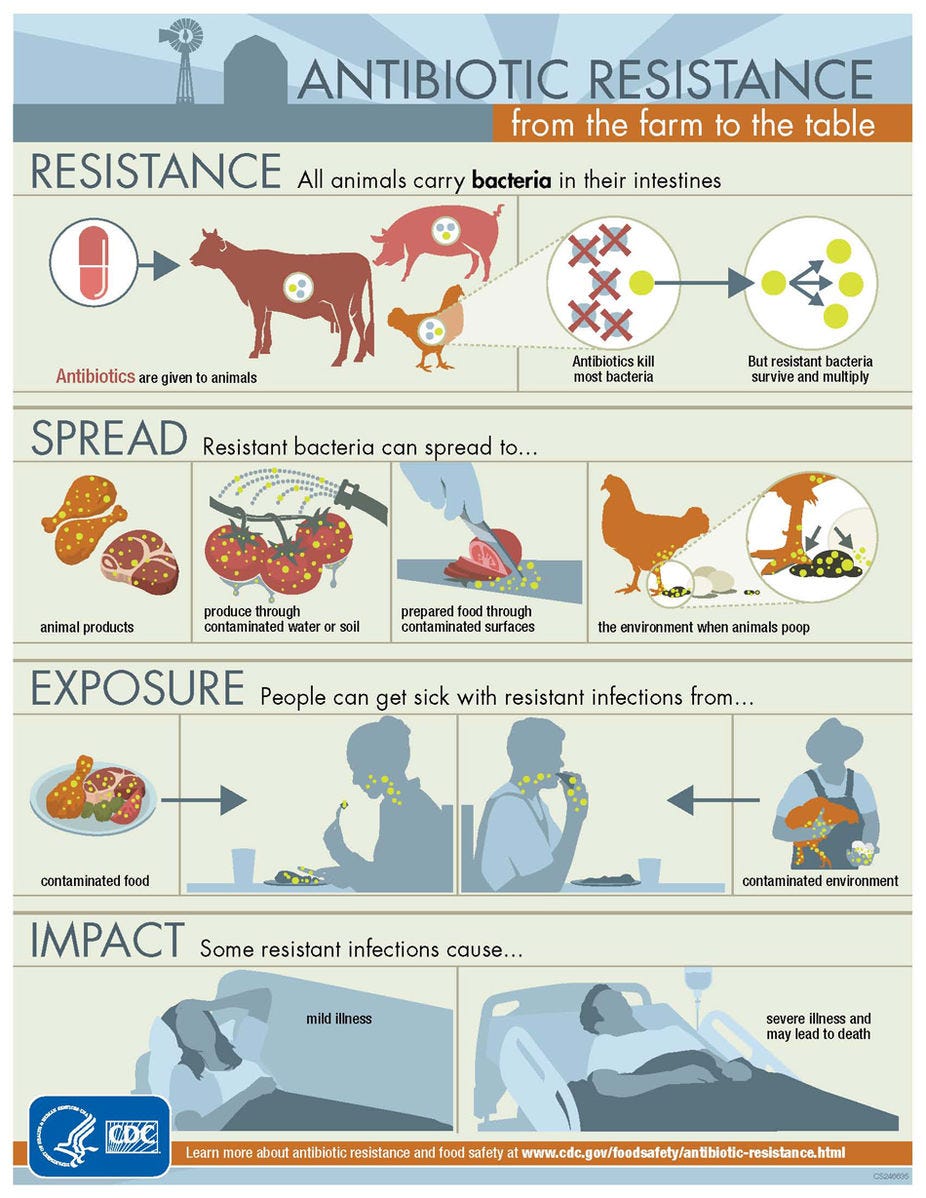Unhealthy conditions for farm animals are — no surprise — bad for