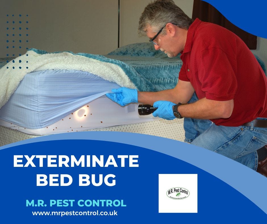 Exterminate bed bug Mr Pest Control Medium