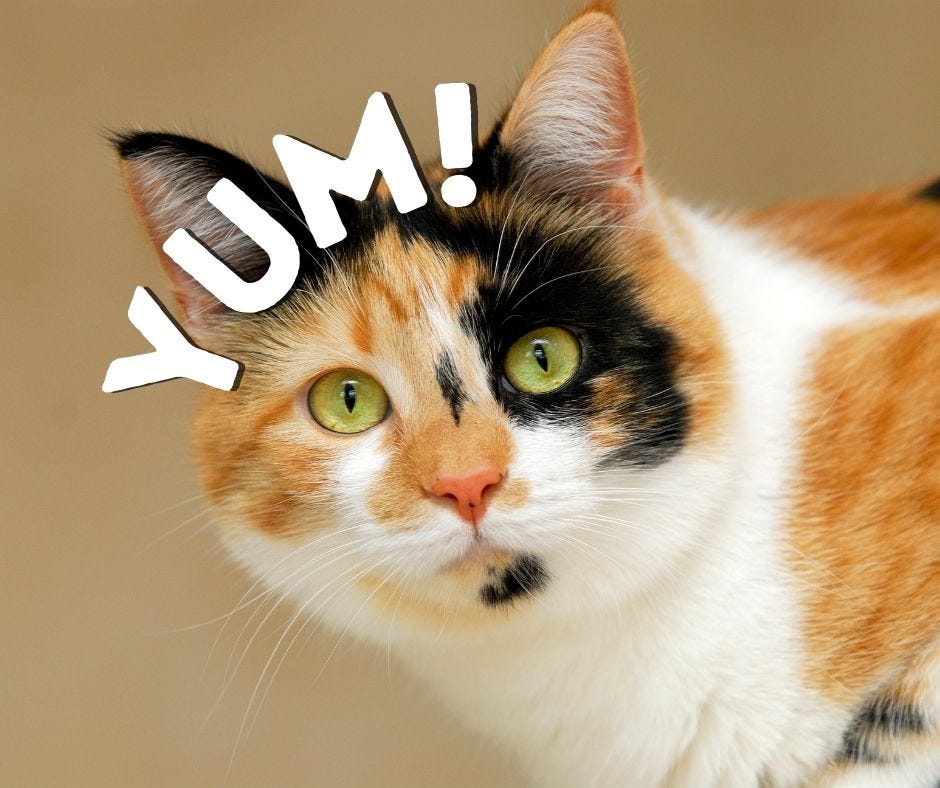 What Happens When Your Cat Eats Your Round Steak The Daily Cuppa Medium