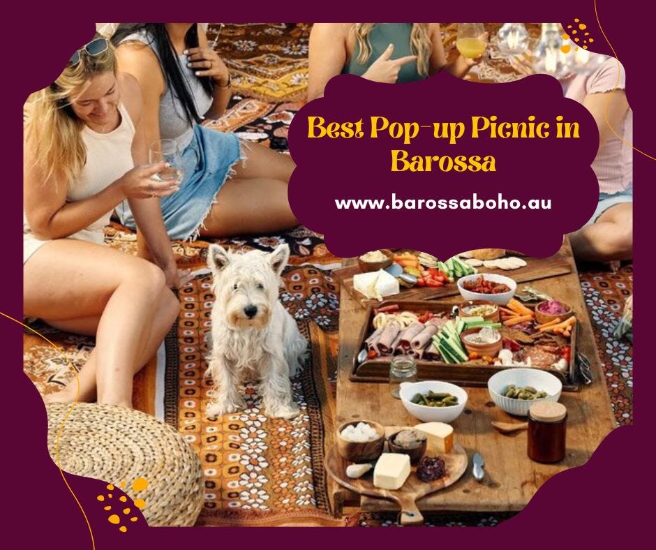 Experience the Best Popup Picnic in Barossa — Popup Picnic Barossa