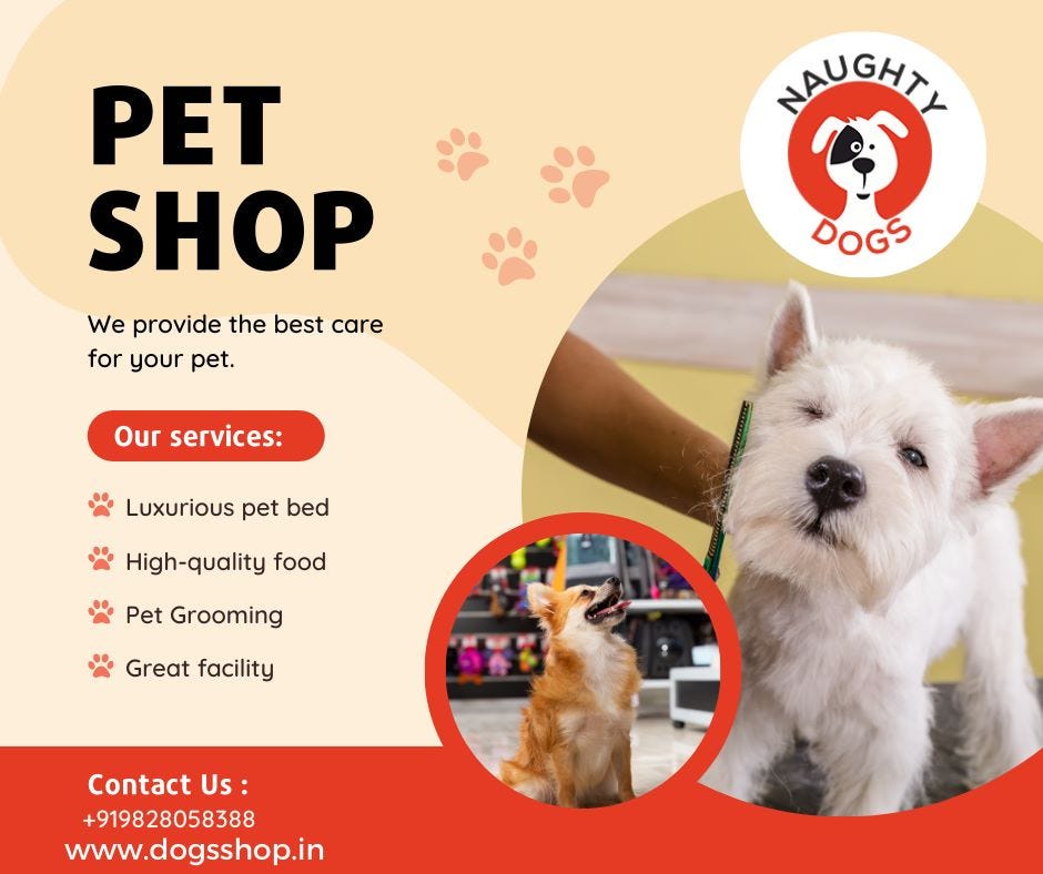 best pet shop in jaipur. some of the weird things dogs enjoy… by