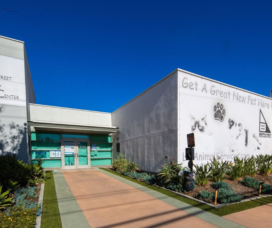 Discover Comfort and Style at Living Spaces in Van Nuys, CA by Prego