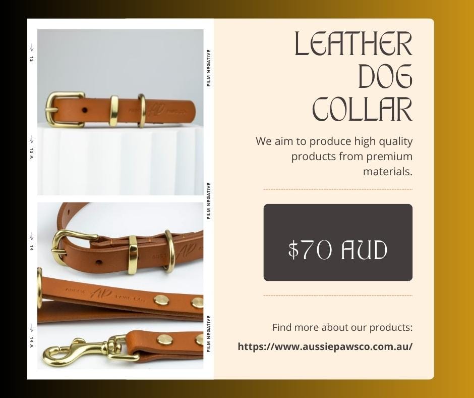 Timeless Elegance and Durability The Allure of Leather Dog Collars by Aussie Paws co. Aug