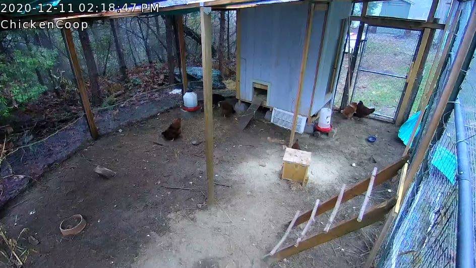 Chicken Coop automation using the Arduino platform by Vinnie Moscaritolo Medium