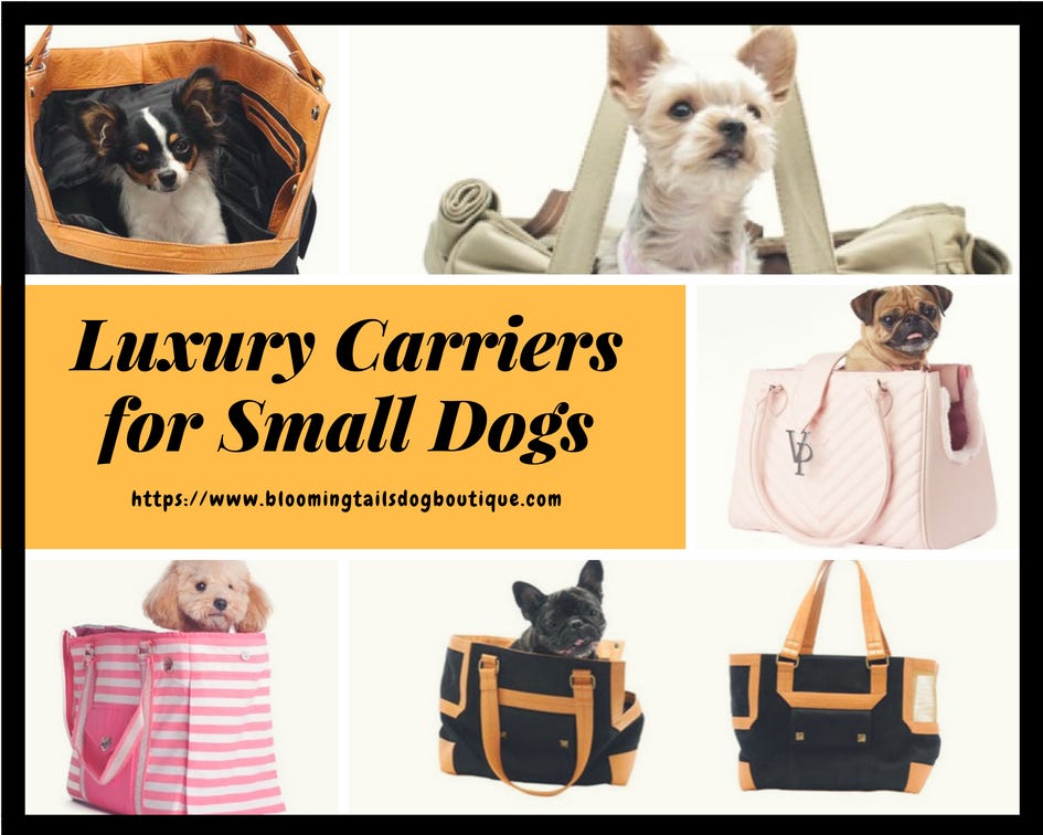 Benefits of Small Dog Carriers. It’s always fun to carry your small