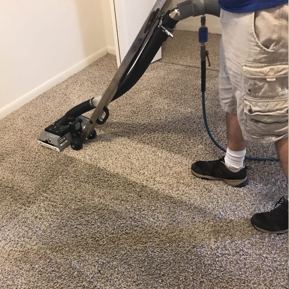 How To Remove Coffee Stains From Carpet Effectively by Carpet