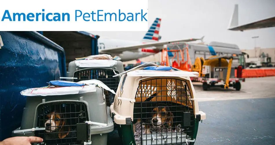 Does American Airlines allow dogs in cargo? by AviaTech Channel Feb