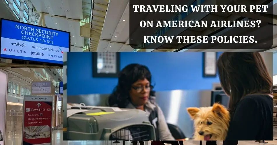 How strict is American Airlines Pet Policy? by AviaTech Channel Medium