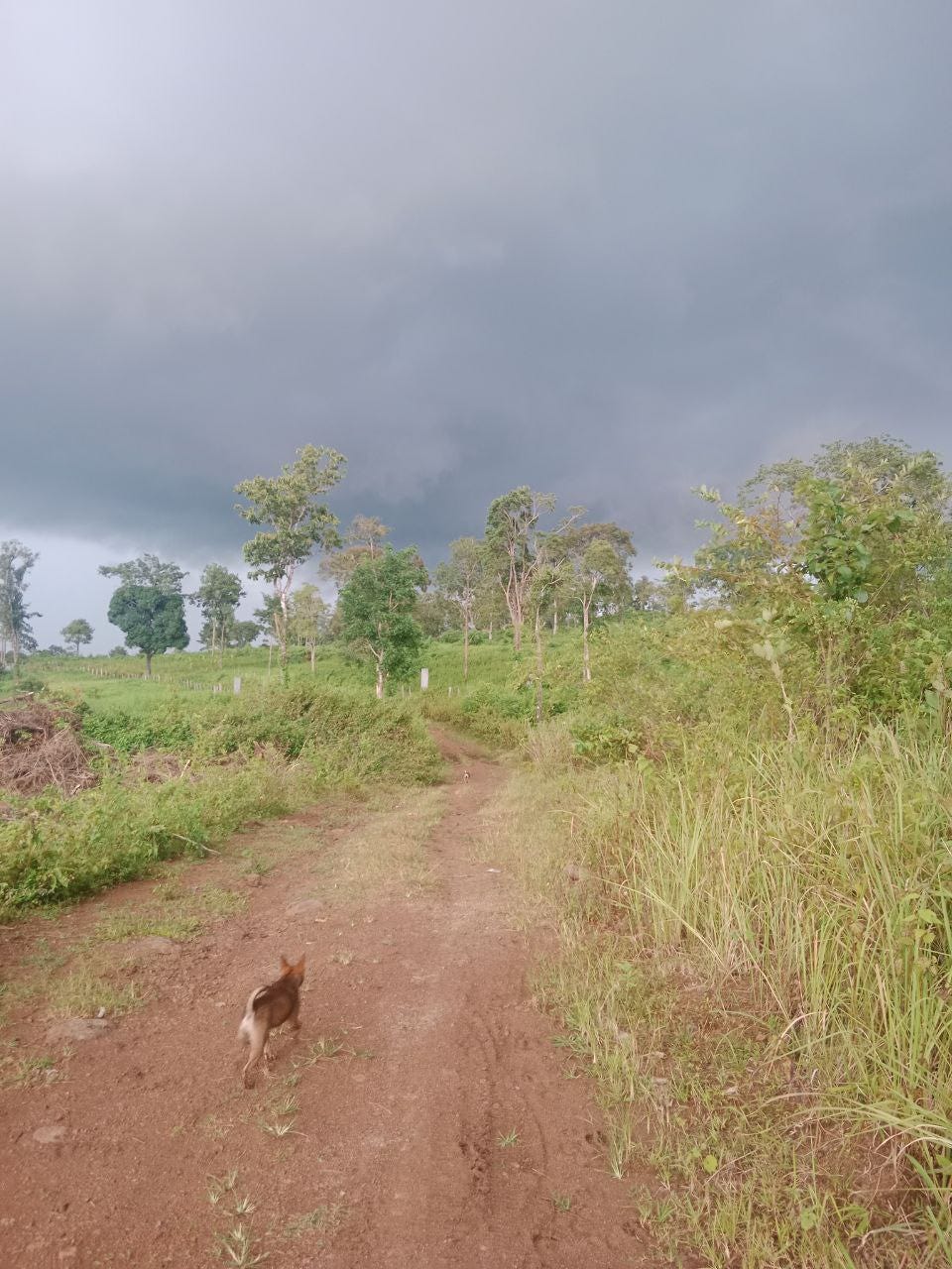 How Weather Affects Our Mood, Productivity And Health by Freddie's