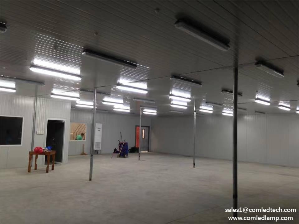 How to install LED Sensor Tri Proof Light in warehouse? by COMLED