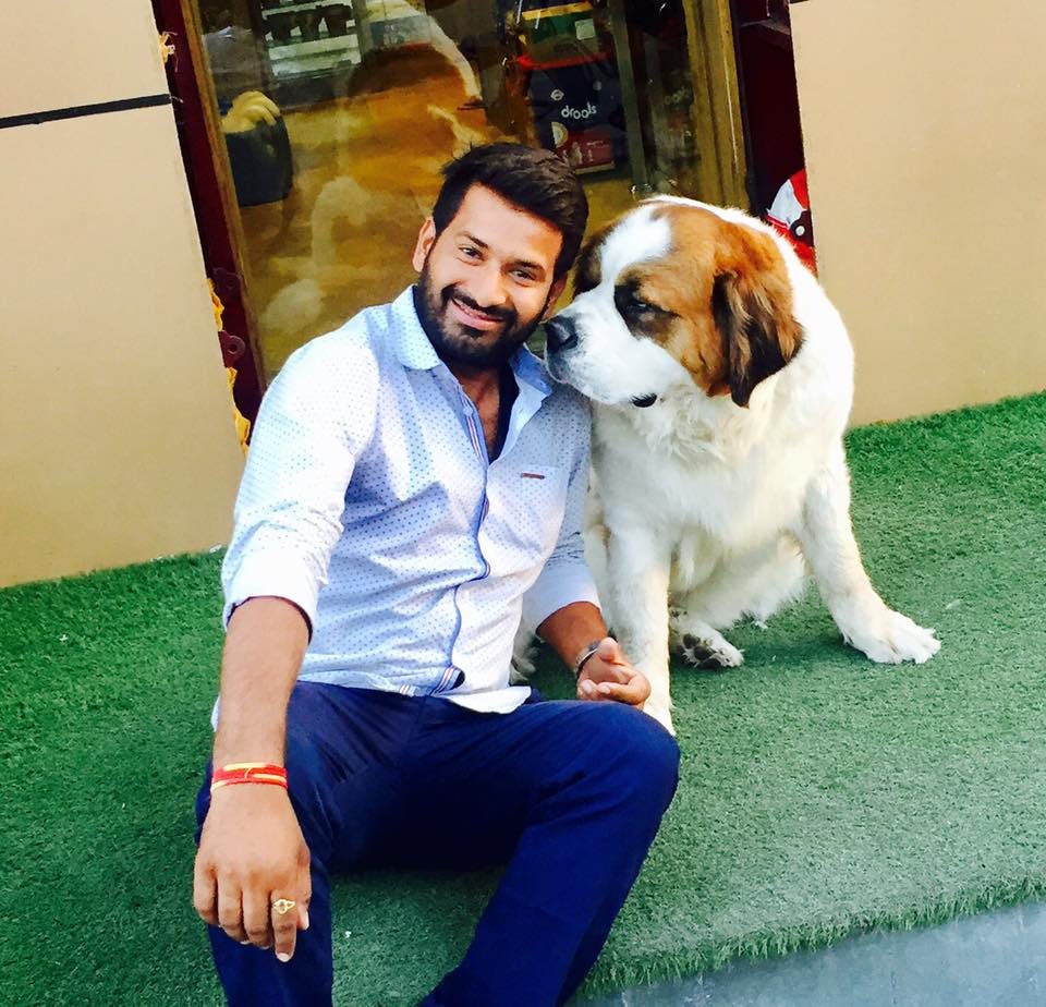 Dog Training Academy in jaipur. Dog experts is the best dog training