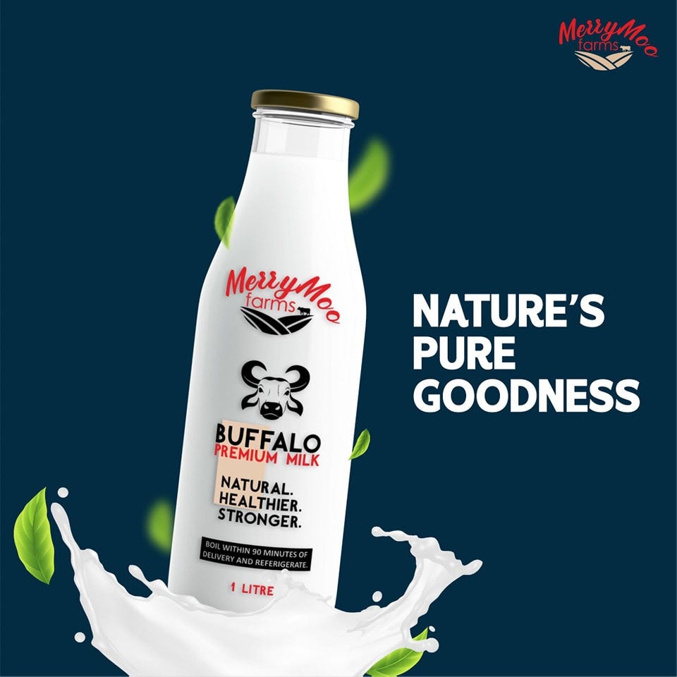 Merrymoo Farms Nourishing Delhi with Pure Cow Milk and Gurgaon with A2