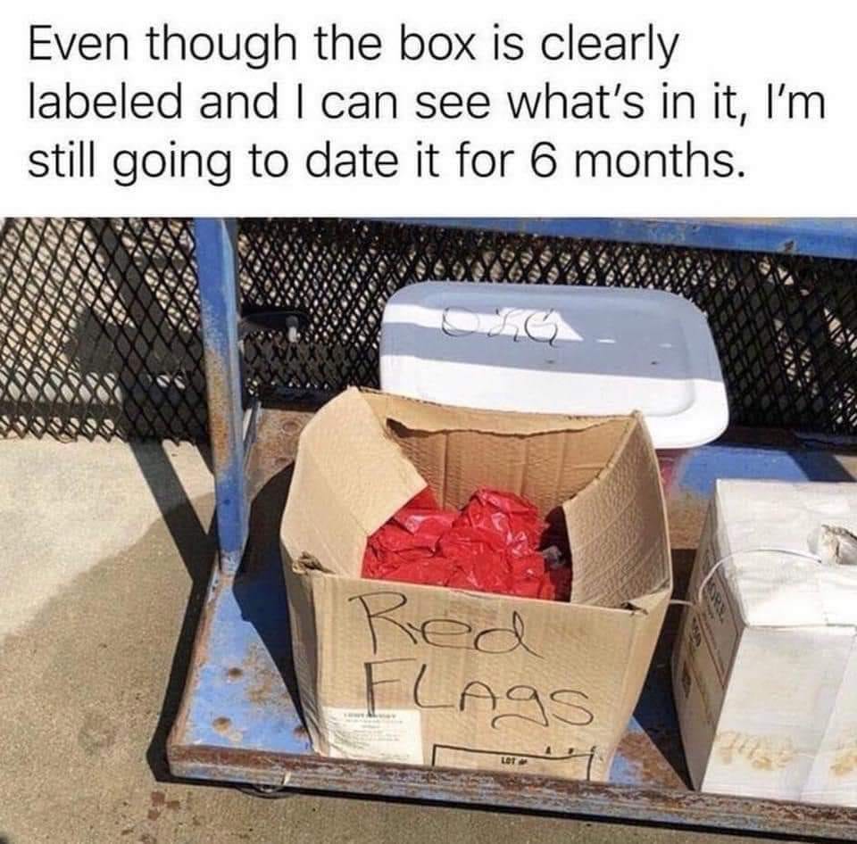 Learning How to Navigate Red Flags. by Sarah Backstrom Medium