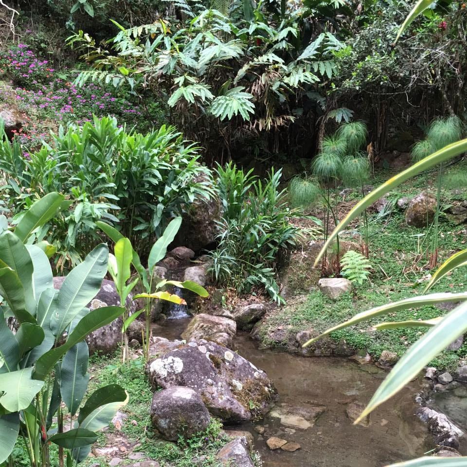 Breathe Through Your Nose. Do any of us really stop to breathe? A… by