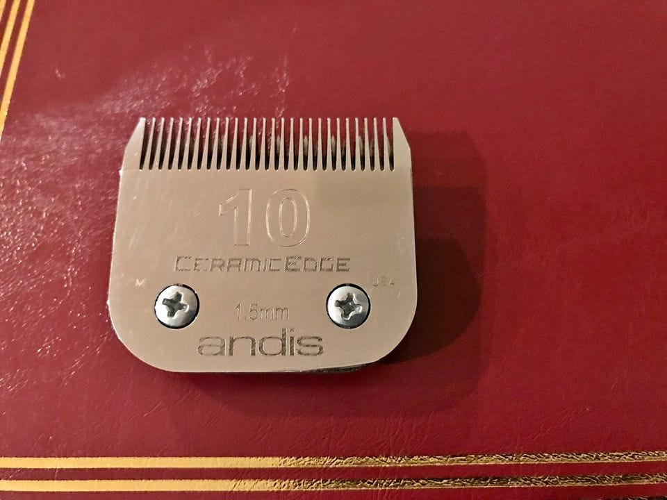 What Clipper Blade To Use On Goldendoodle? by Questions About Dogs