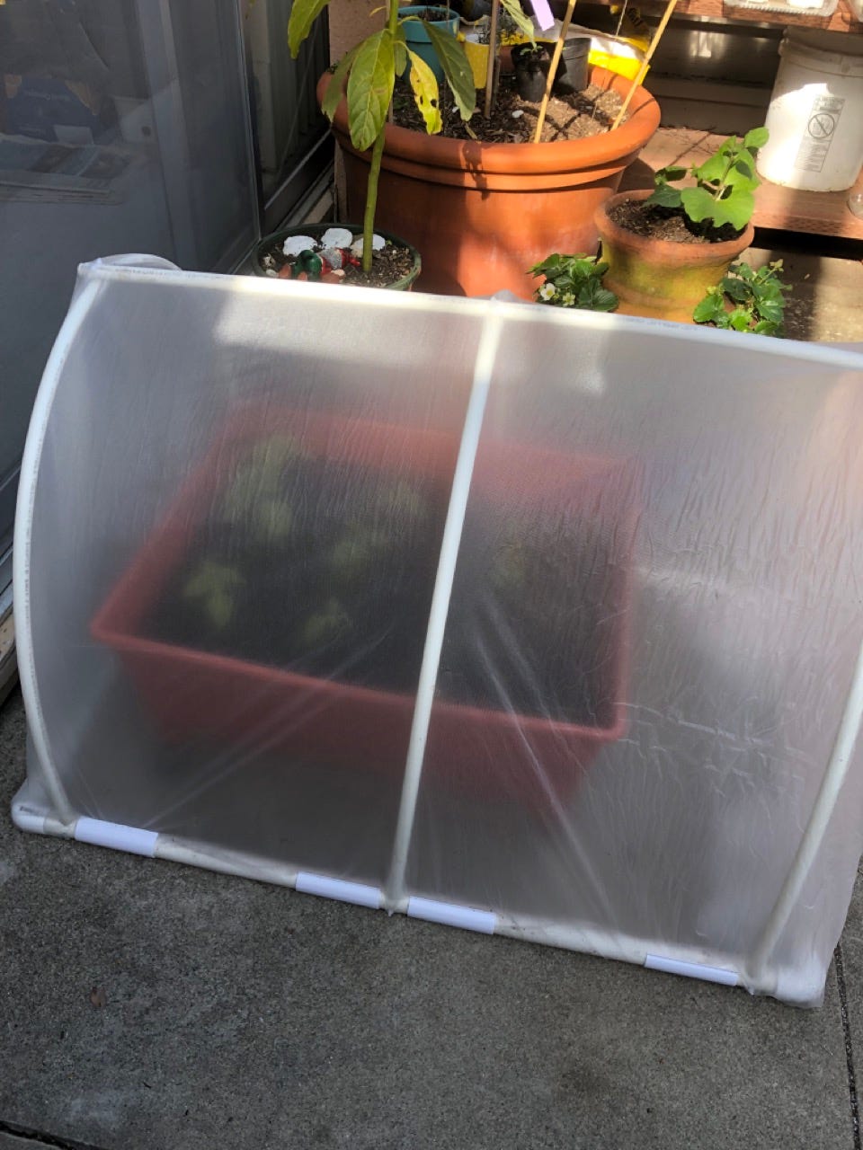 Gardening DIY — How to make mini greenhouse with PVC and PEX by Life