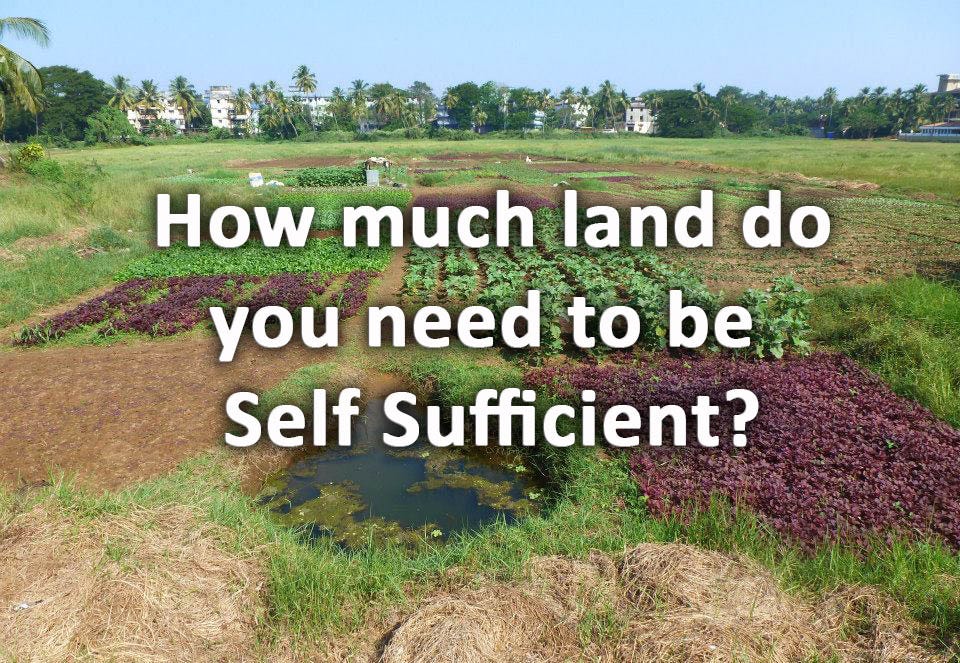 how many acres do you need to be selfsufficient? by Victor Gindi