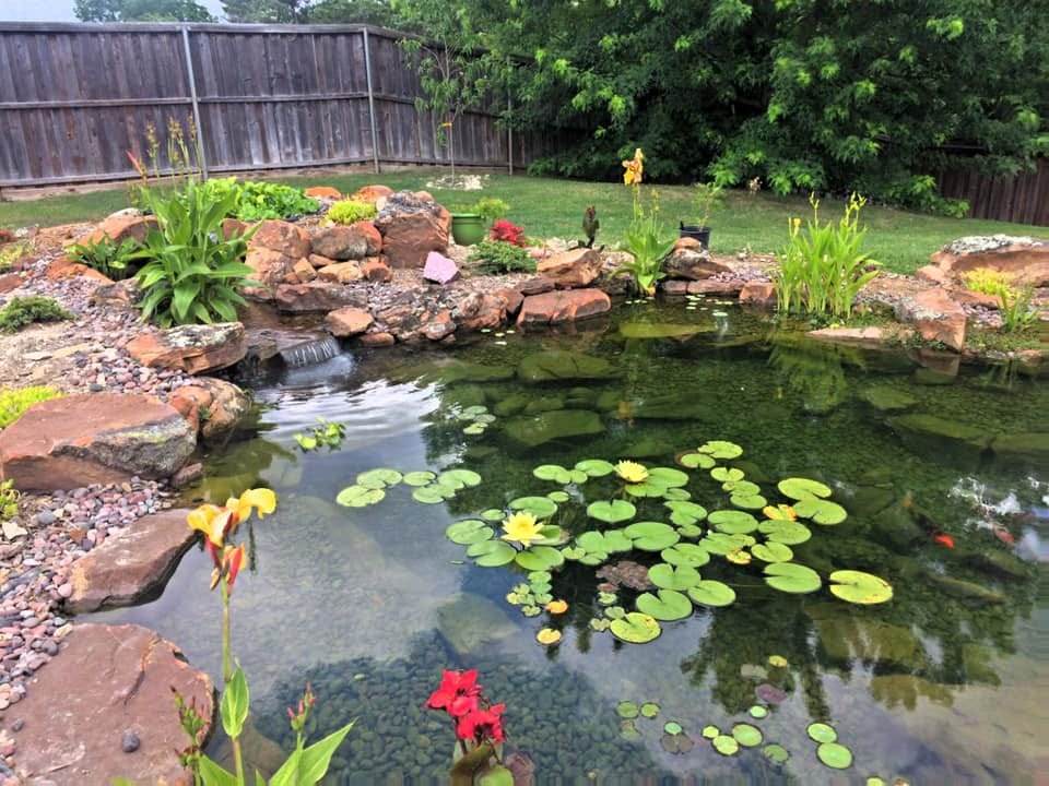 Troubleshooting Pond Leaks A Handy Guide by Latoyasaum Aug, 2023