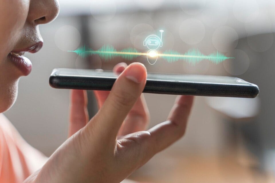 The Sound of Safety Navigating Privacy in the Voice Biometrics Era