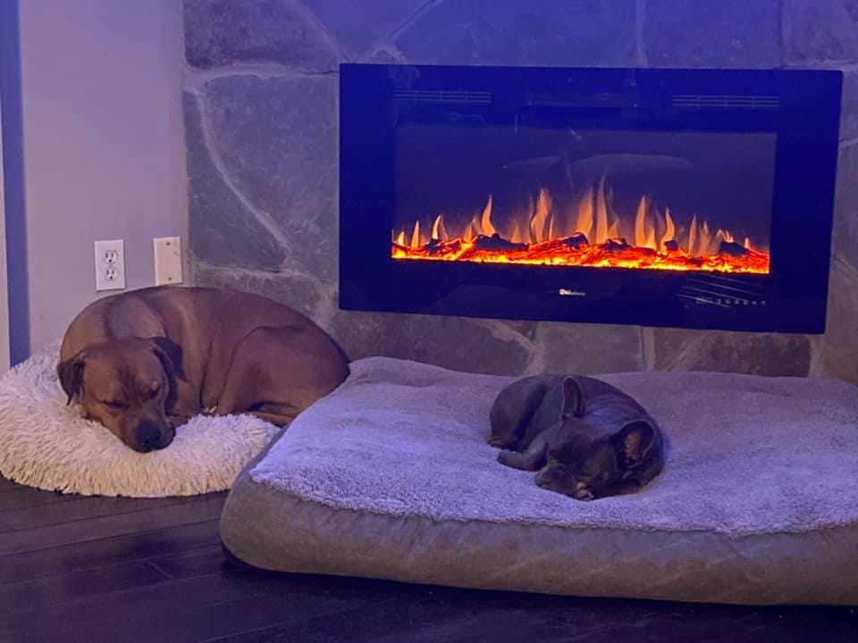 How To Install A Heat Lamp In A Dog House? by Questions About Dogs