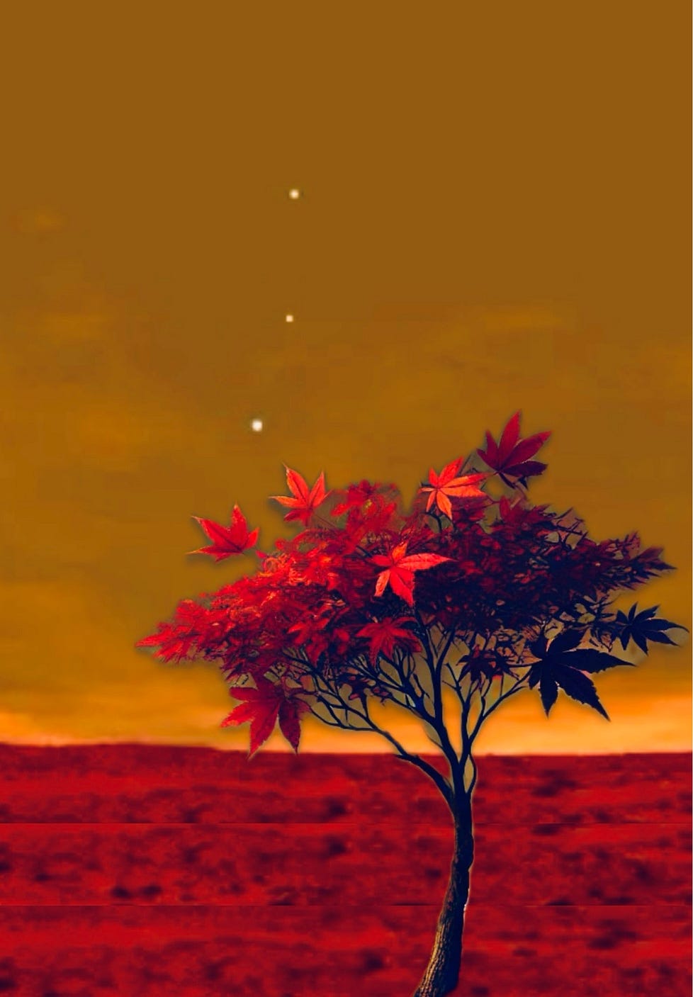 I Saw a Leaf Fall Today. a poem by Jason L. Graves Candlewax in