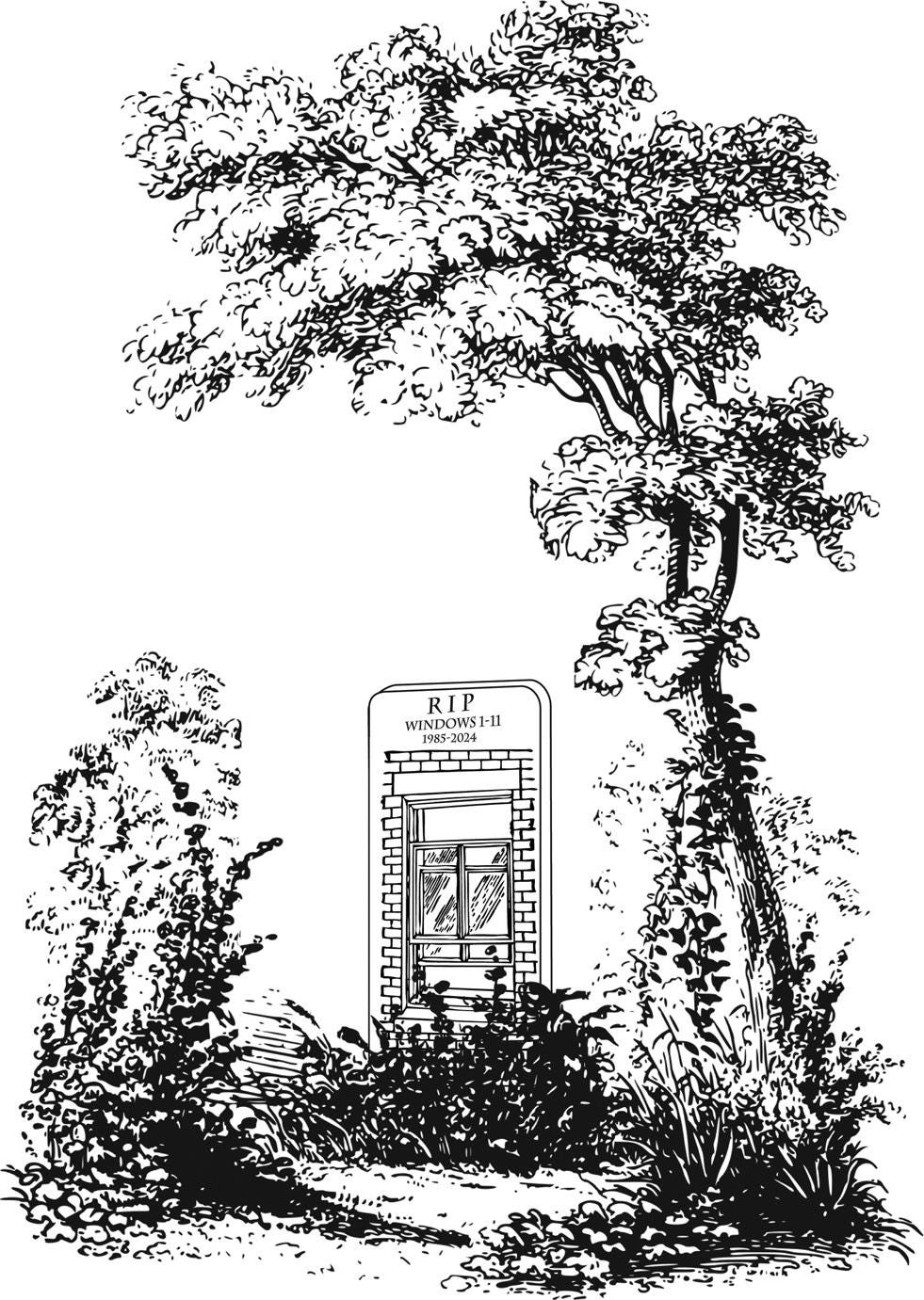 Windows Dead at The Age of 39. Ian F. Orgot October 21, 2024 by