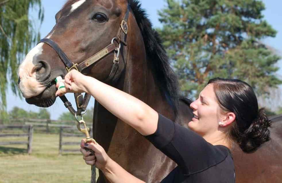 Tips for administering a horse deworming dose or other oral medications by Christopher