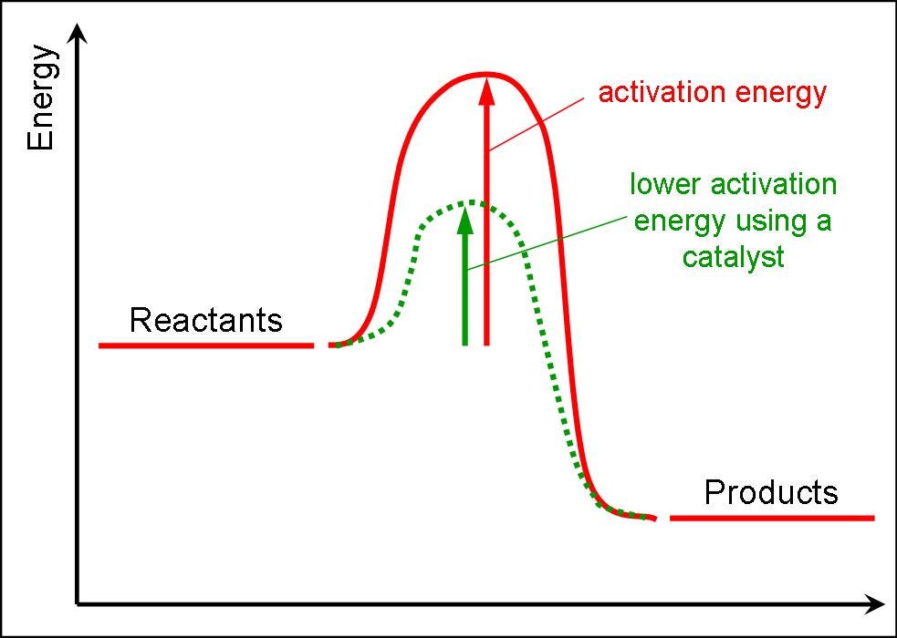 Activation Energy Graph With Catalyst