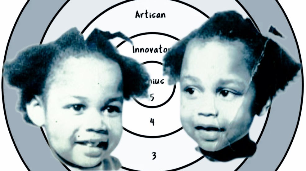 Gibbons Twins Silent Voices That Speak Volumes by Cool Continuum