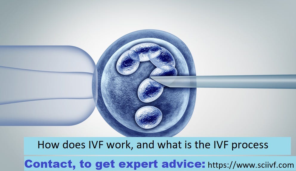 How does IVF work, and what is the IVF process by SCI IVF Hospital