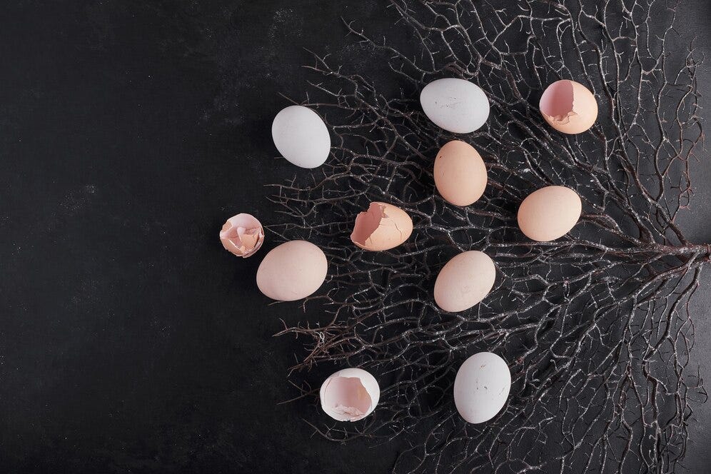 Will eggshells keep pests away? GreenEveryGarden Medium