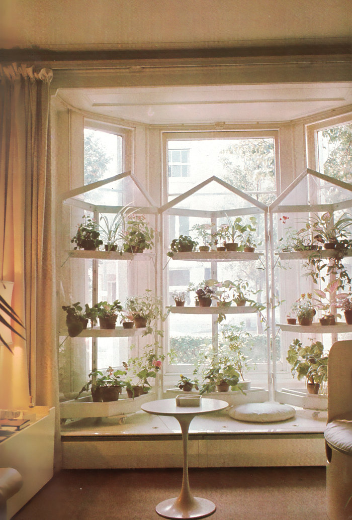 Cacti, Succulents and Other Retro Plant Photos Mirror80
