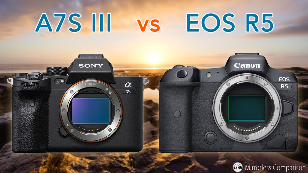 Sony A7S III vs Canon R5 The 10 main differences Mirrorless Comparison