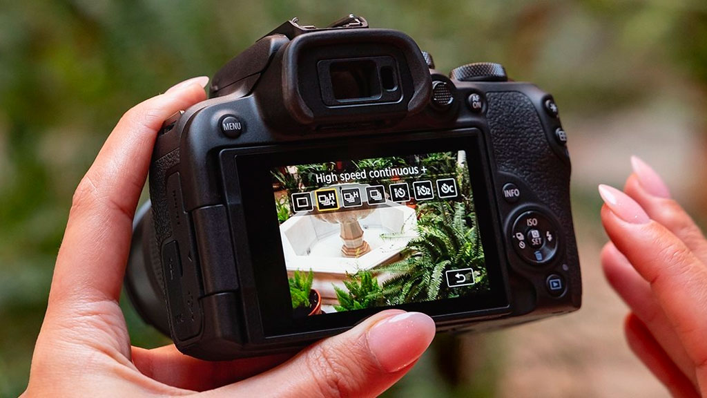 Canon EOS R50 vs R10 The 10 Main Differences Mirrorless Comparison