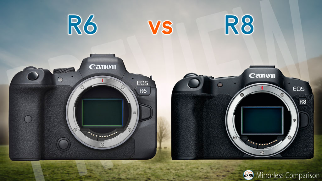 Canon R6 vs R8 The 10 Main Differences Mirrorless Comparison