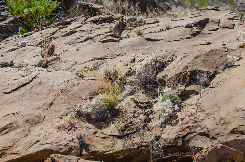 Big Bend Feb 2013 A Mountain and View Croton Peak