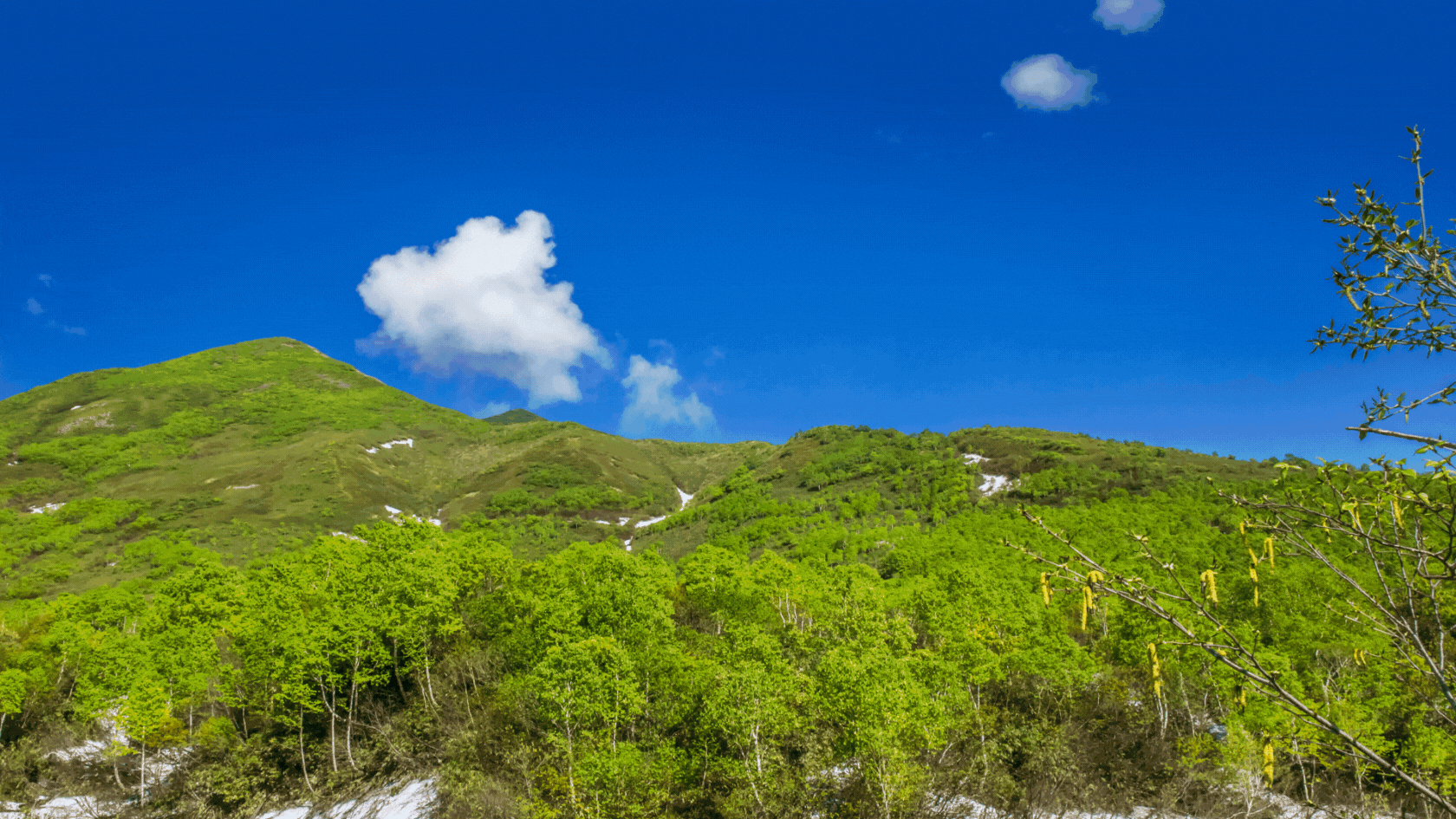 大自然と触れ合い、記憶に残る夏を演出するアクティビティ Miru