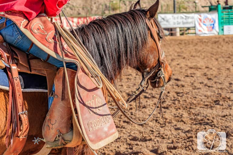 Arizona Weekend Adventures Rodeos! Misadventures with Andi