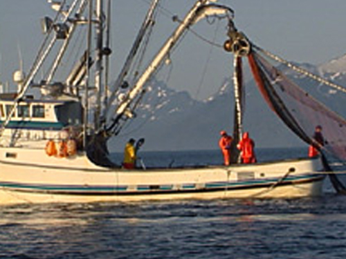 Docuseek2 Empty Oceans, Empty Nets