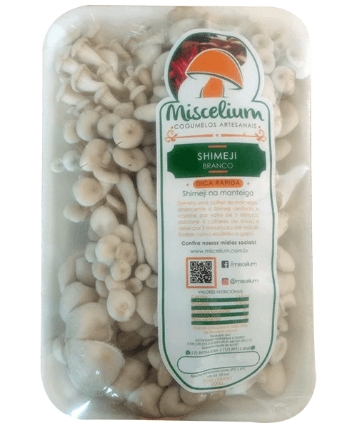 Miscelium Shimeji Fresco em São José do Rio Preto