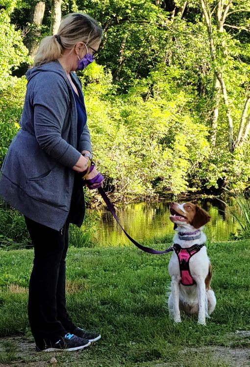 Mischief Managed RI Flexible Dog Training Classes in