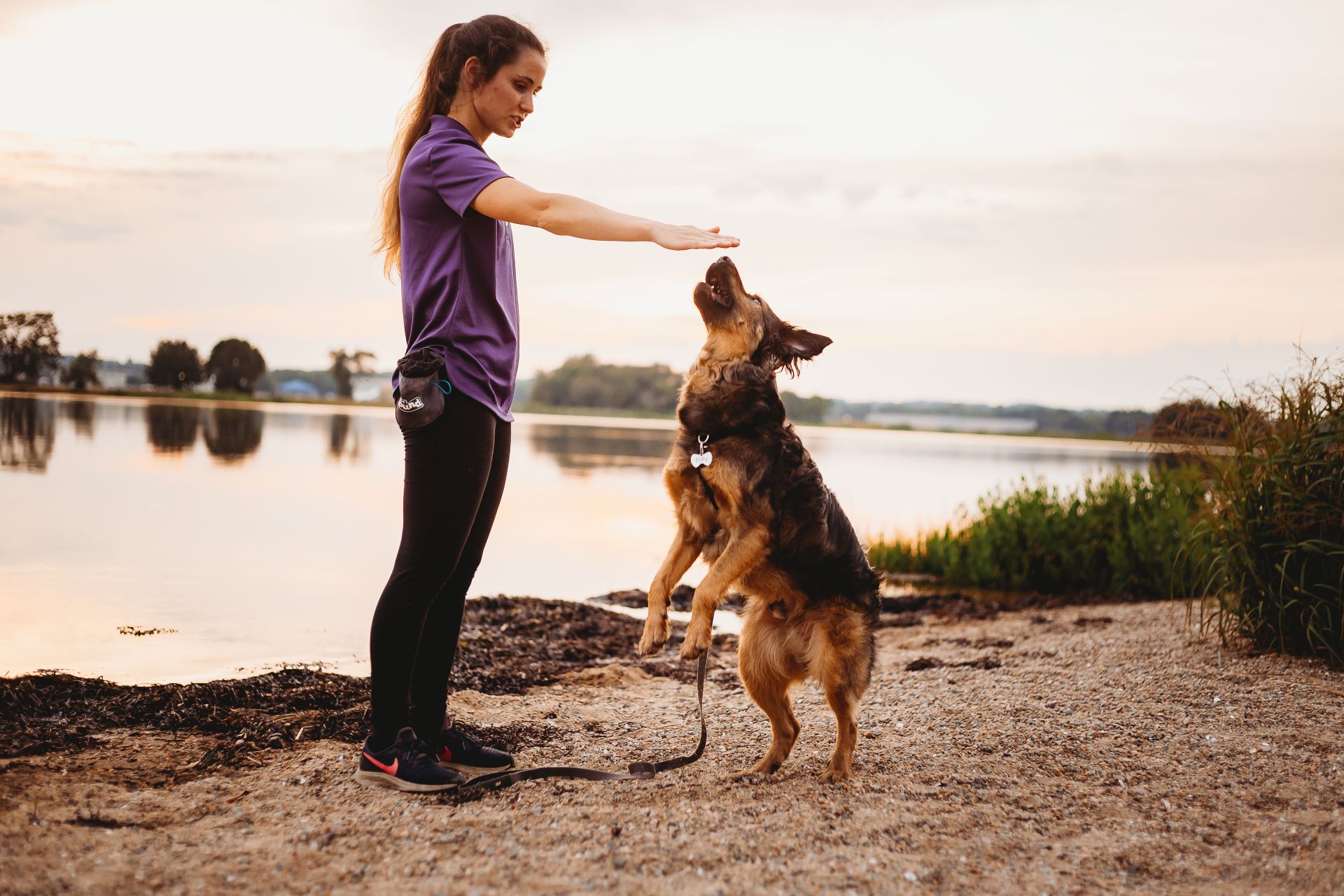 Trick Dog Training ⋆ Mischief Managed Mayhem to Manners