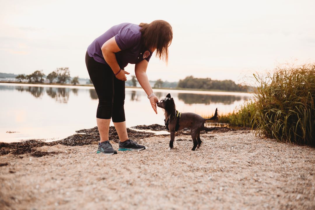 Intensive Dog Training ⋆ Mischief Managed Mayhem to Manners
