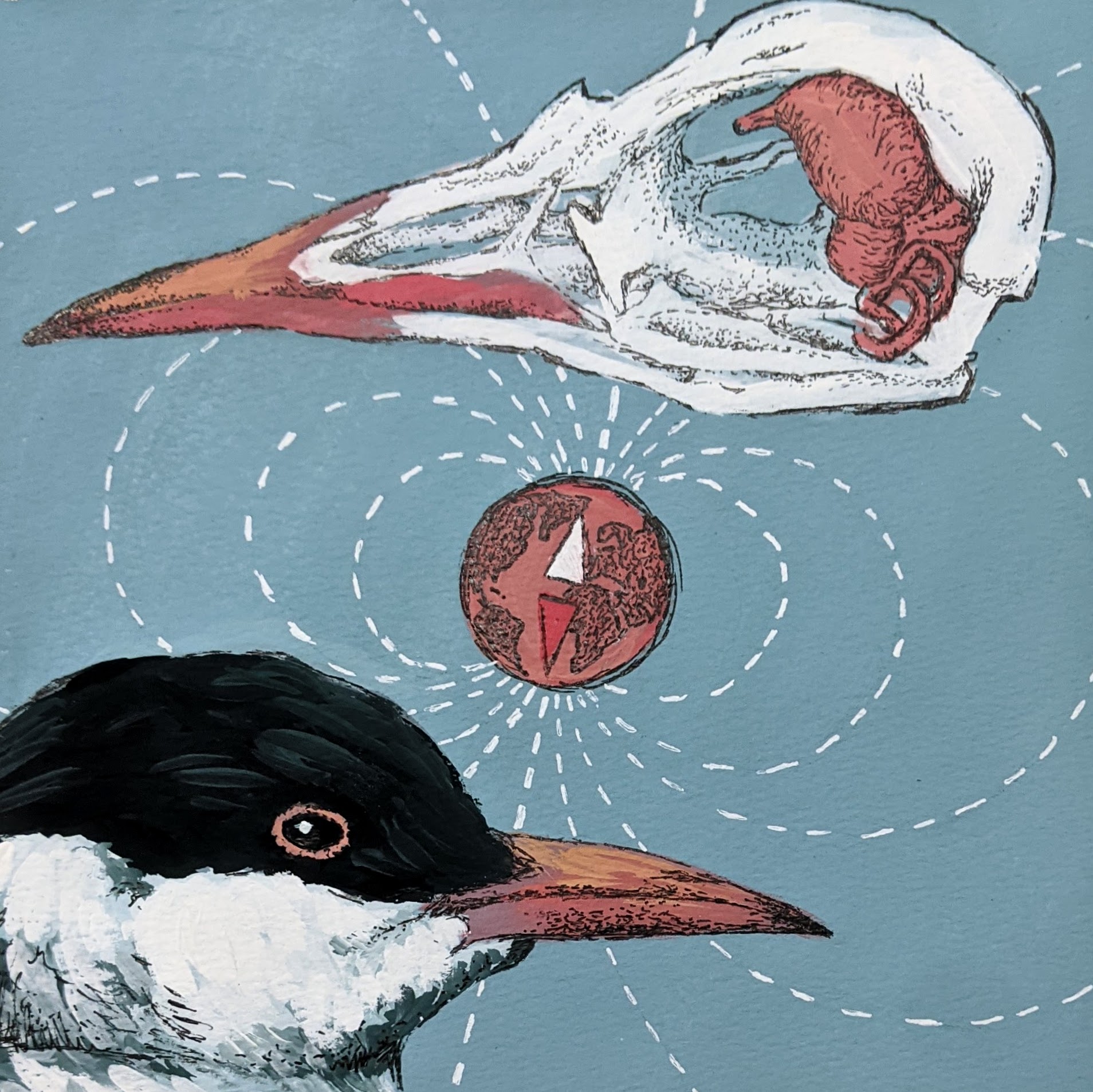 Top 84+ List of animals that use