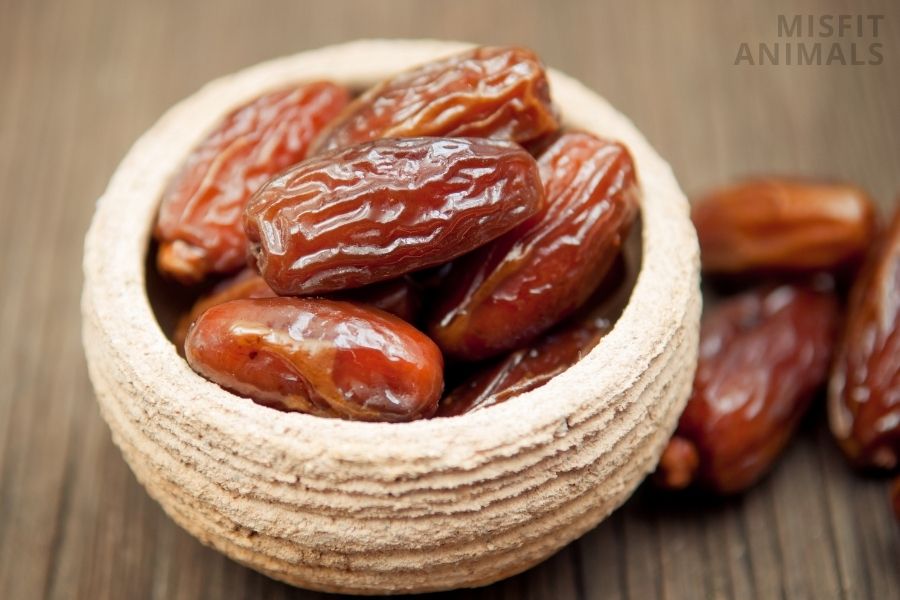 Can Dogs Eat Dates? (Are Dates Good For Dogs?)
