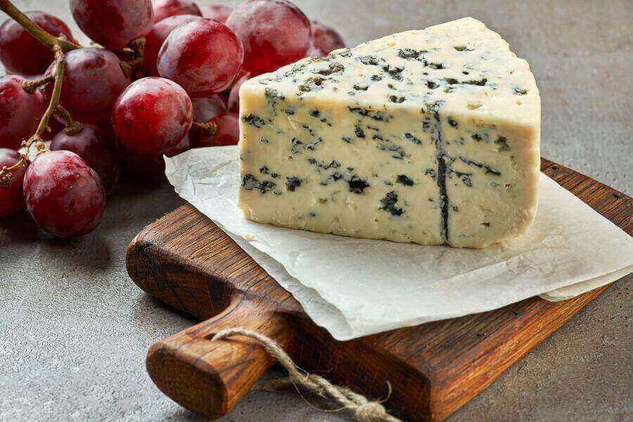 Can Rats Eat Cheese & Do They Like It? Misfit Animals