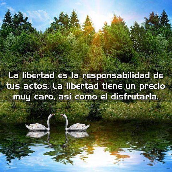 La libertad es la responsabilidad Frases Con Imágenes