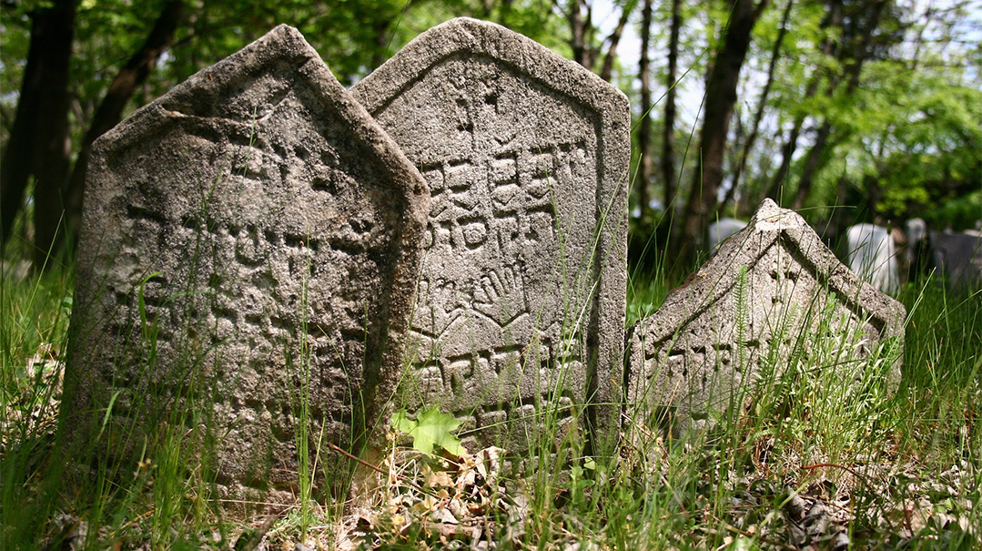 Stones That Speak Mishpacha Magazine