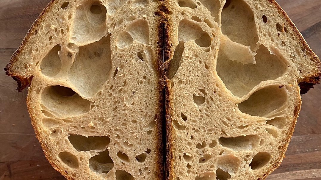 Bread Breakdown Mishpacha Magazine