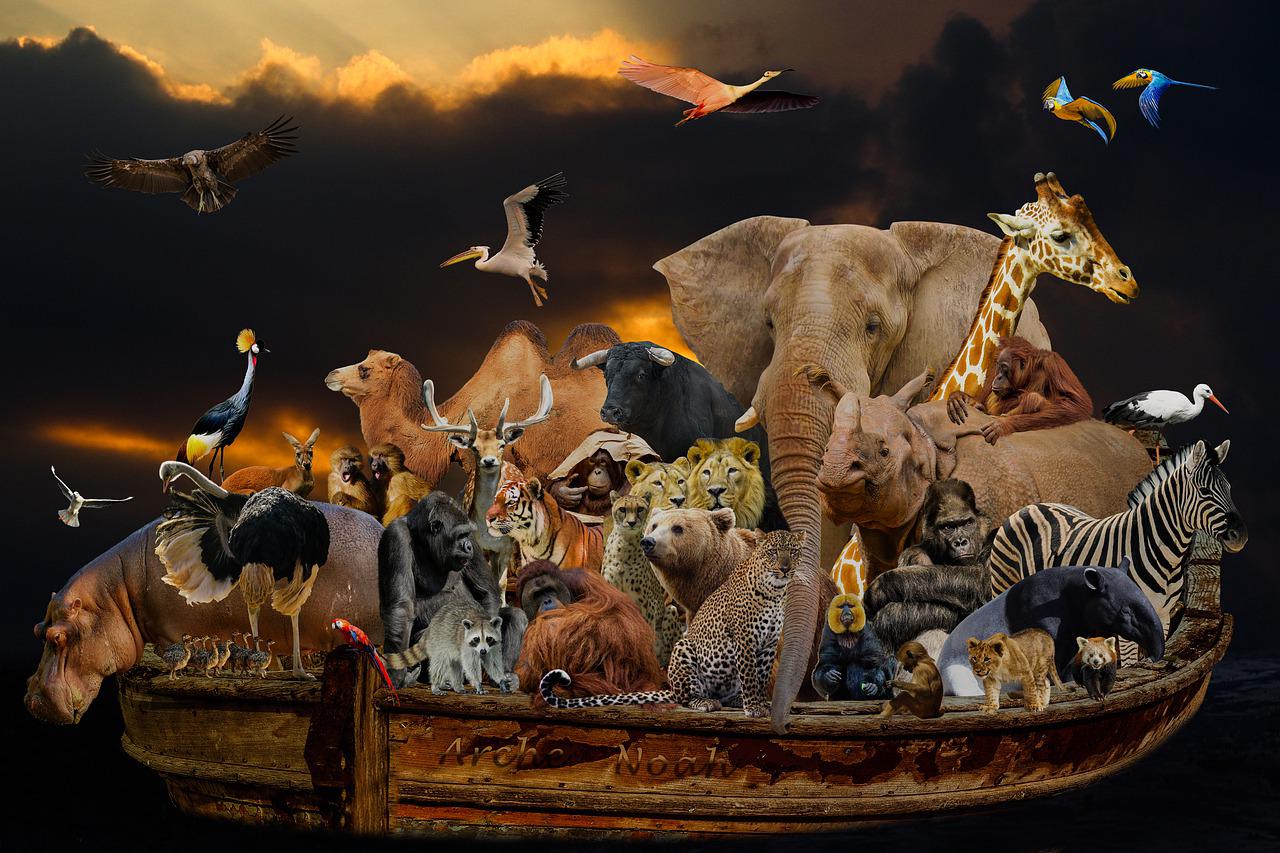 LOS ANIMALES DEL ARCA DE NOÉ MI SIGLO